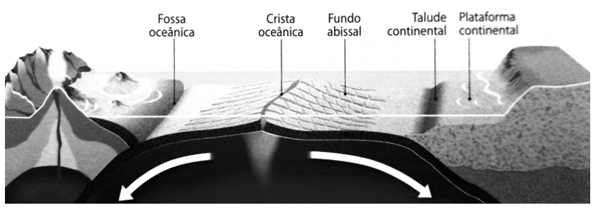 Dorsal Oceânica