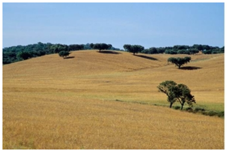 alentejo