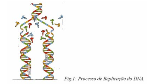 replicacao-dna