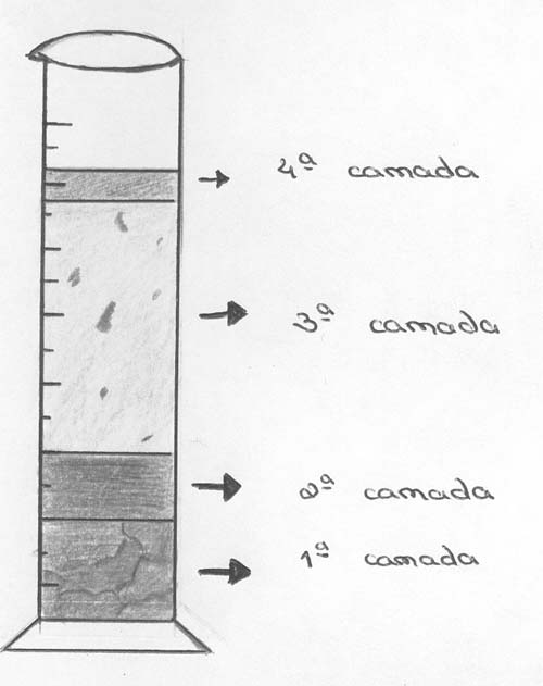 sedimentacao