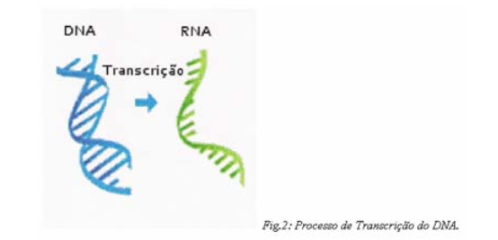 Transcrição do DNA