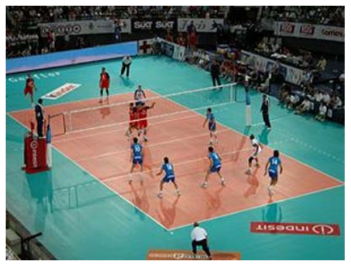 Avaliação e Treinamento da Coordenação Motora nos Jogos Esportivos  Coletivos: à exemplo do Voleibol - TECOBOL-Vb