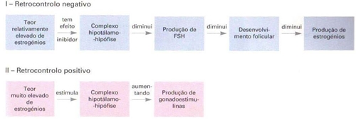 Controlo Dos Ciclos Sexuais Notapositiva 3772