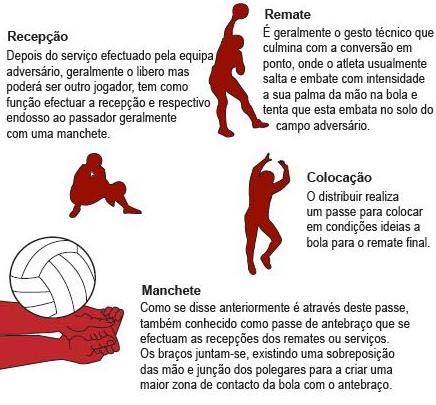 Regras do Volley: Situação do Jogo, Jogando a Bola e Bola na Rede (8,9 e  10) - energiavolley